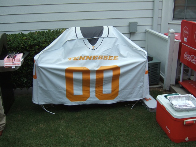 2008 UT-CSRA PICNIC 002