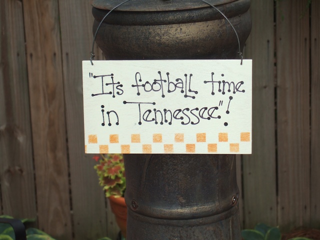 2008 UT-CSRA PICNIC 010