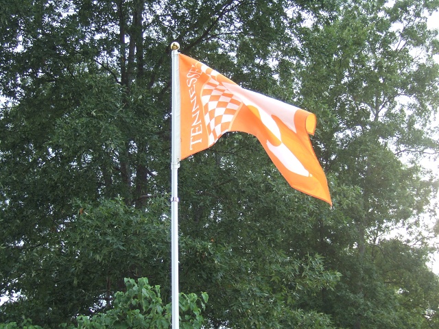 2008 UT-CSRA PICNIC 021