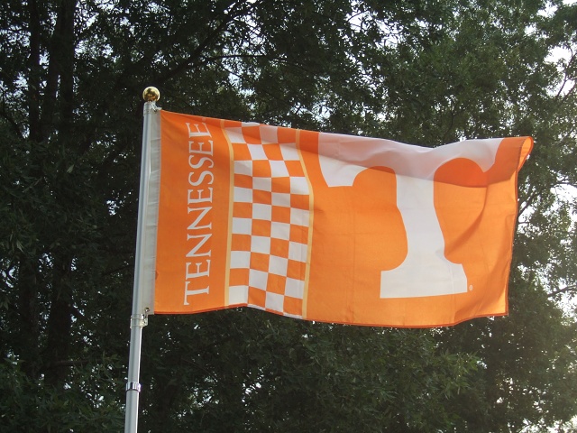 2008 UT-CSRA PICNIC 030