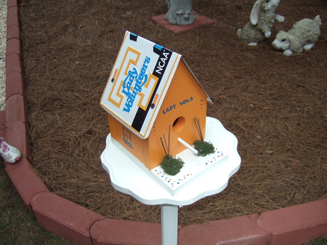 2008 UT-CSRA PICNIC 033